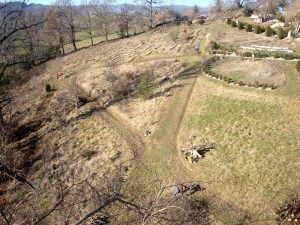 parc ouest vu de haut