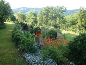 topiaires et coquelicots